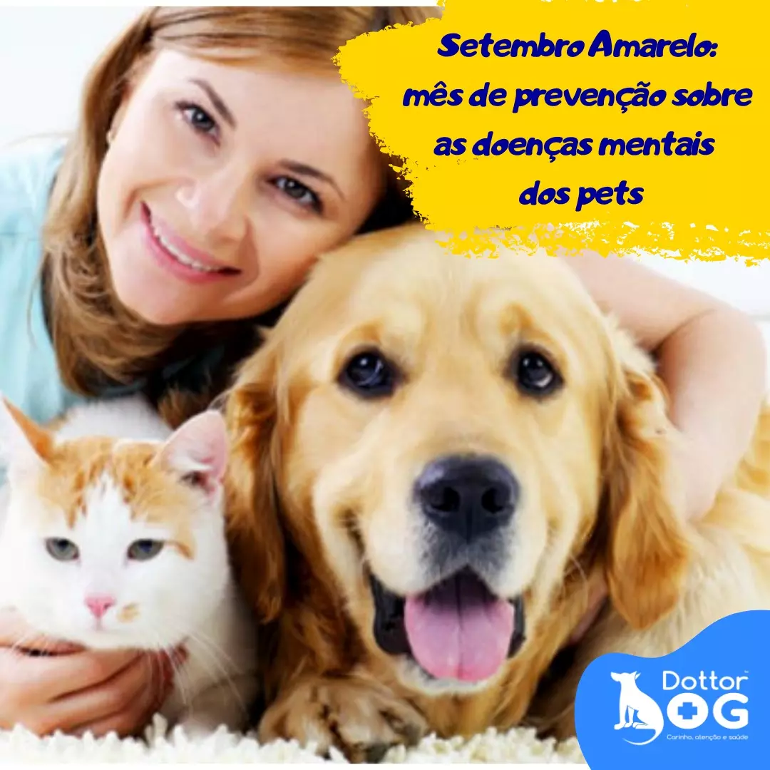 SETEMBRO AMARELO PET : MÊS DE PREVENÇÃO SOBRE AS DOENÇAS MENTAIS DOS PETS